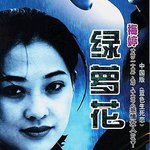 綠蘿花
