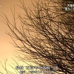 外科醫生天野篤 一心一意 搭建未來