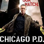 芝加哥警署 第五季