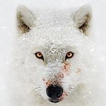 水深火熱的星球