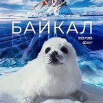 神奇的貝加爾湖