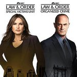 法律與秩序：特殊受害者 第二十三季