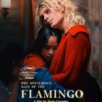 弗拉明戈的神祕眼神