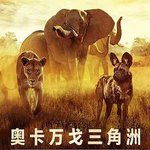 倖存的天堂