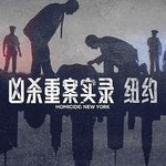 兇殺重案實錄：紐約