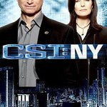 犯罪現場調查：紐約 第七季