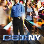 犯罪現場調查：紐約 第八季